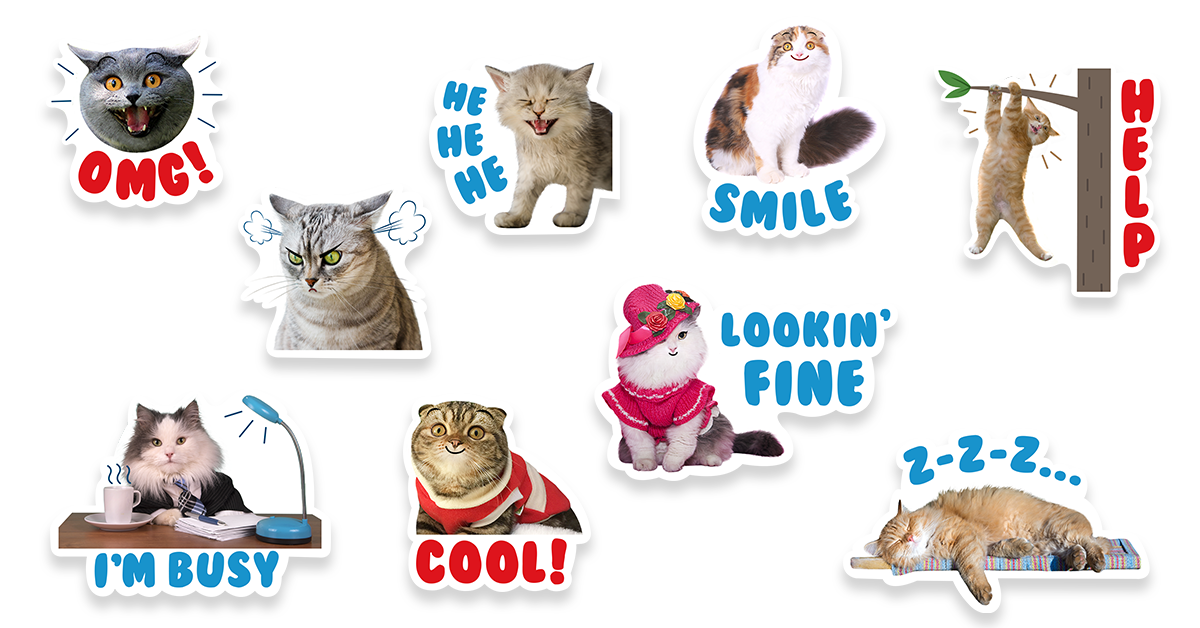 Celebrate International Cat Day with a Sticker Spotlight Special!